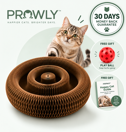 Prowly™ Interactive Cat Toy