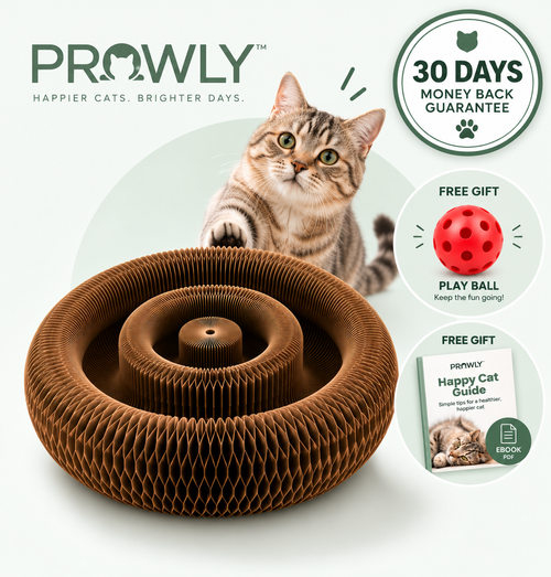 Prowly™ Interactive Cat Toy